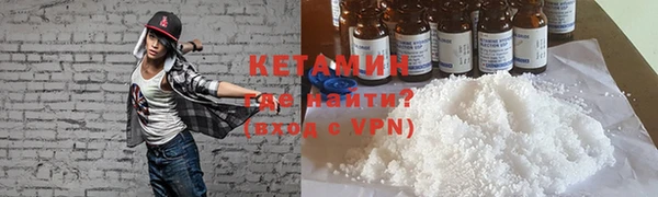 дмт Ельня