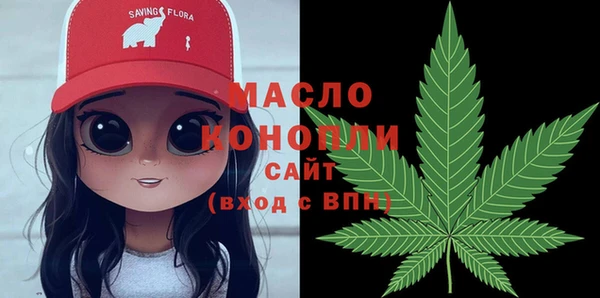 дмт Ельня