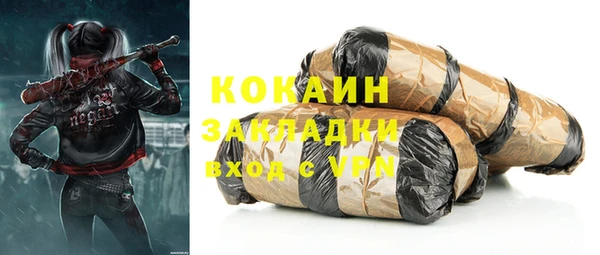 дмт Ельня