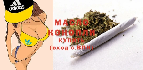 дмт Ельня