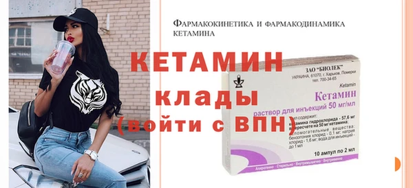 дмт Ельня