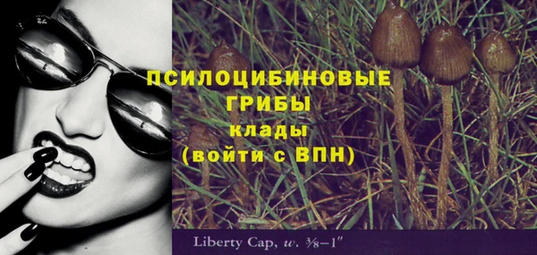 дмт Ельня