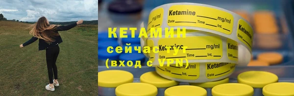 дмт Ельня