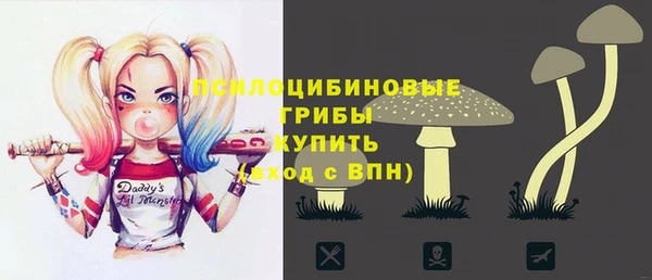 гидропоника Елизово