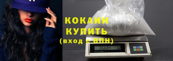 дмт Ельня