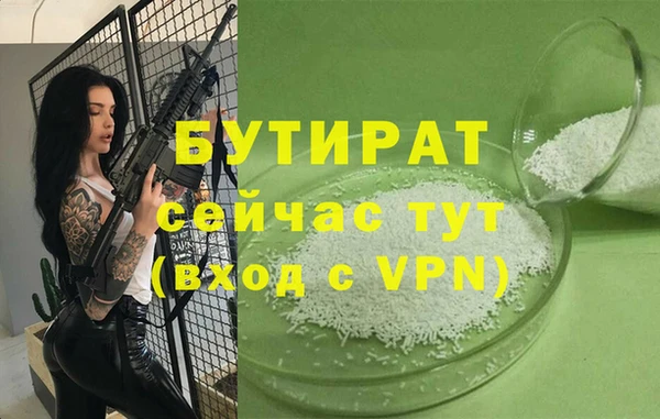 дмт Ельня