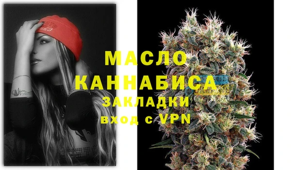 дмт Ельня