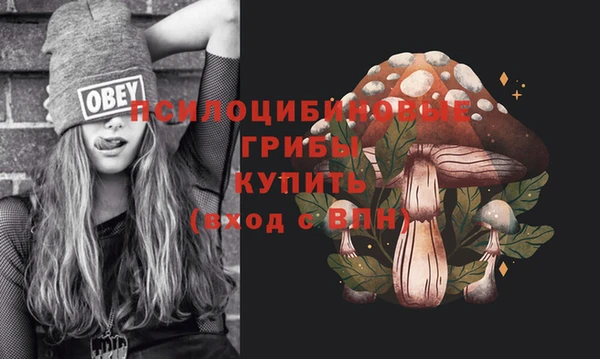 дмт Ельня