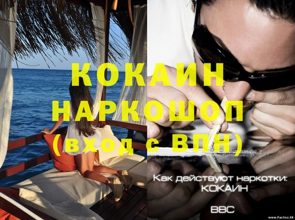 дмт Ельня