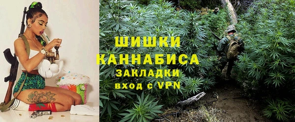 гидропоника Елизово