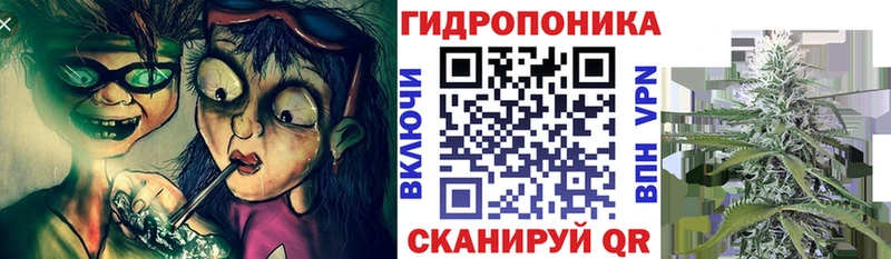 Купить где  Каменск-Уральский  Конопля планчик 